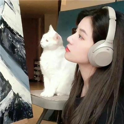 爱情无价